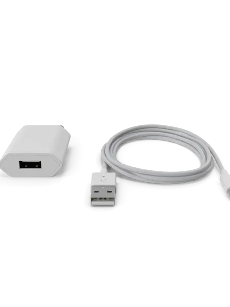 Apple iPhone Charger