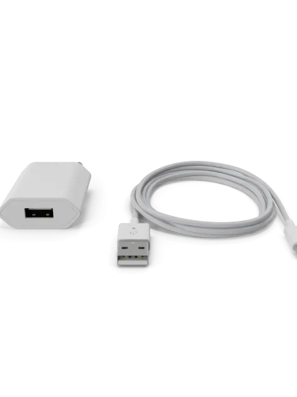 Apple iPhone Charger